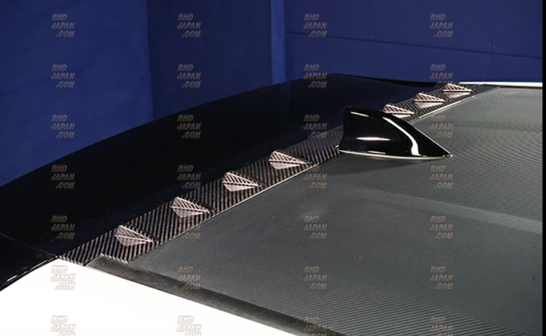 Axis-Parts Vortex Generator GT Dry Carbon Fiber Gloss Finish - GR
